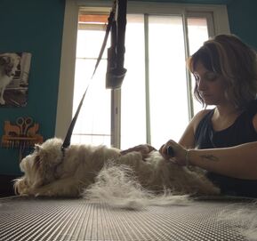 epilation
