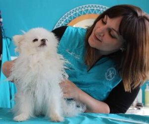 Embel'Lyre toilettage soins dermatologiques Reyniès